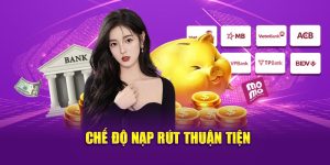 che-do-nap-rut-thuan-tien