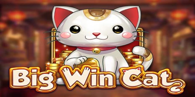 choi-ngay-big-win-cat-bia